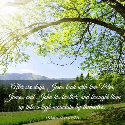 Picture 03 - Matthew 17:1 WEB - After six days, Jesus took with him Peter, James, - Bible Verse Picture