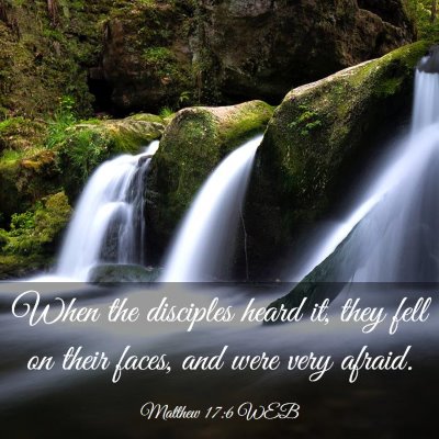 Picture 03 - Matthew 17:6 WEB - When the disciples heard it, they fell on their - Bible Verse Picture