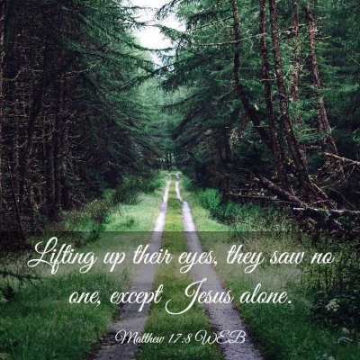 Picture 03 - Matthew 17:8 WEB - Lifting up their eyes, they saw no one, except - Bible Verse Picture