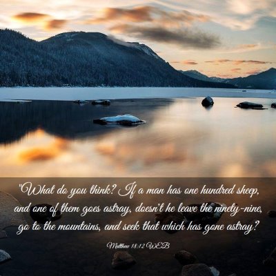 Picture 03 - Matthew 18:12 WEB - 