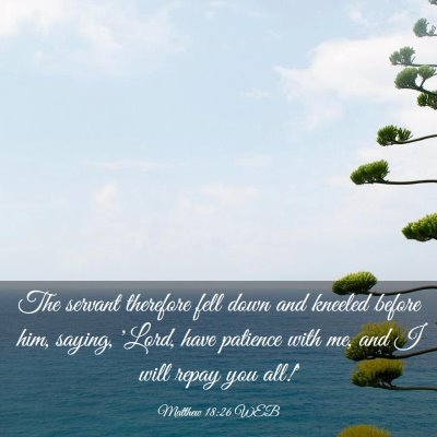 Picture 03 - Matthew 18:26 WEB - The servant therefore fell down and kneeled - Bible Verse Picture