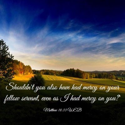 Picture 03 - Matthew 18:33 WEB - Shouldn't you also have had mercy on your fellow - Bible Verse Picture