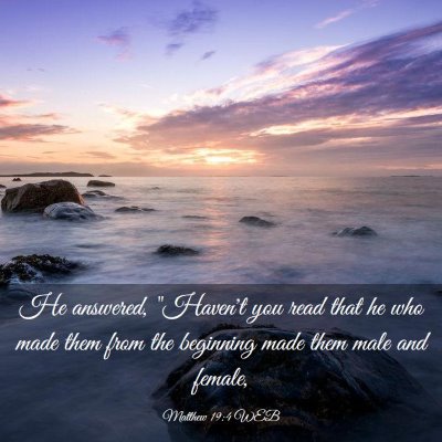 Picture 03 - Matthew 19:4 WEB - He answered, 