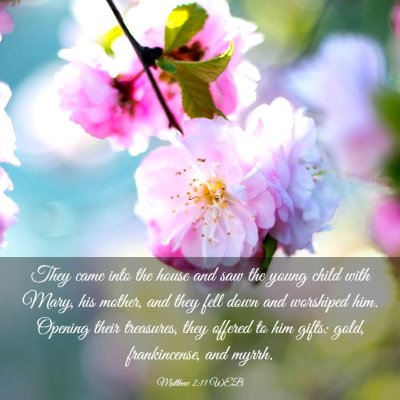 Picture 03 - Matthew 2:11 WEB - They came into the house and saw the young child - Bible Verse Picture
