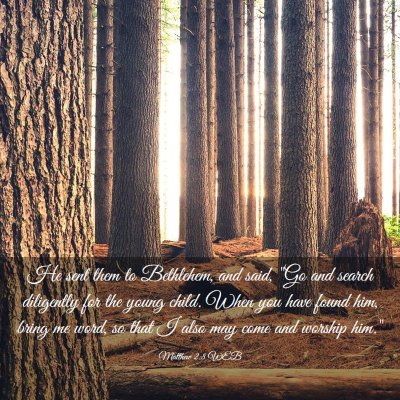Picture 03 - Matthew 2:8 WEB - He sent them to Bethlehem, and said, 