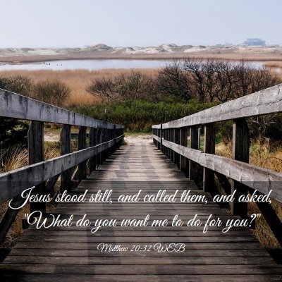 Picture 03 - Matthew 20:32 WEB - Jesus stood still, and called them, and asked, - Bible Verse Picture