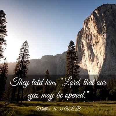 Picture 03 - Matthew 20:33 WEB - They told him, 