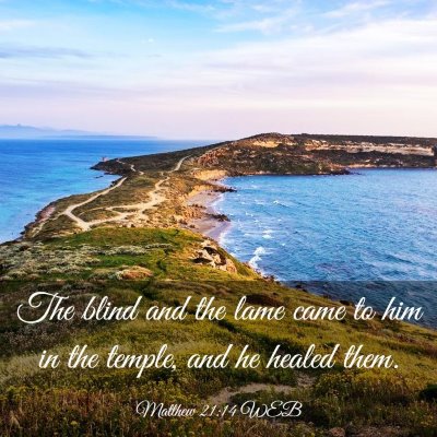 Picture 03 - Matthew 21:14 WEB - The blind and the lame came to him in the temple, - Bible Verse Picture