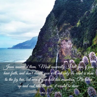 Picture 03 - Matthew 21:21 WEB - Jesus answered them, 