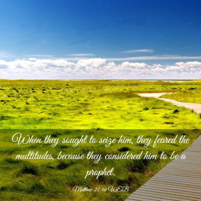 Picture 03 - Matthew 21:46 WEB - When they sought to seize him, they feared the - Bible Verse Picture