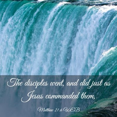 Picture 03 - Matthew 21:6 WEB - The disciples went, and did just as Jesus - Bible Verse Picture