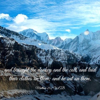 Picture 03 - Matthew 21:7 WEB - and brought the donkey and the colt, and laid - Bible Verse Picture