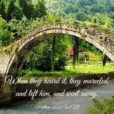 Picture 03 - Matthew 22:22 WEB - When they heard it, they marveled, and left him, - Bible Verse Picture