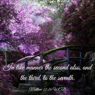Picture 03 - Matthew 22:26 WEB - In like manner the second also, and the third, to - Bible Verse Picture