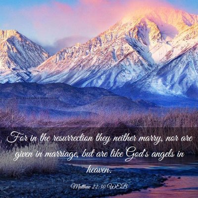 Picture 03 - Matthew 22:30 WEB - For in the resurrection they neither marry, nor - Bible Verse Picture