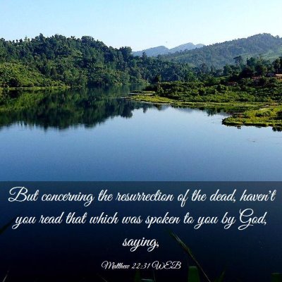 Picture 03 - Matthew 22:31 WEB - But concerning the resurrection of the dead, - Bible Verse Picture