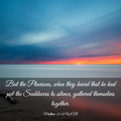 Picture 03 - Matthew 22:34 WEB - But the Pharisees, when they heard that he had - Bible Verse Picture