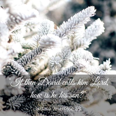 Picture 03 - Matthew 22:45 WEB - 
