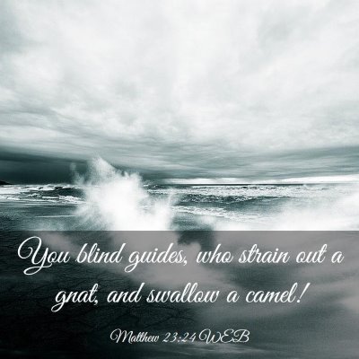 Picture 03 - Matthew 23:24 WEB - You blind guides, who strain out a gnat, and - Bible Verse Picture