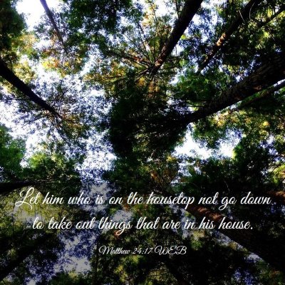 Picture 03 - Matthew 24:17 WEB - Let him who is on the housetop not go down to - Bible Verse Picture
