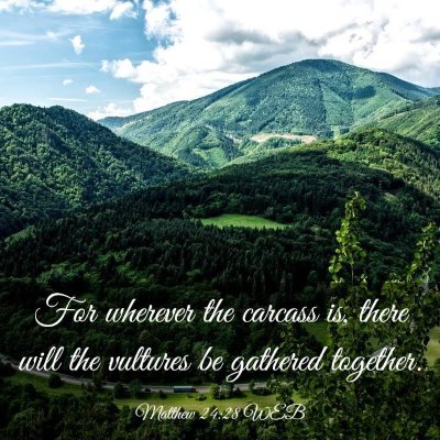 Picture 03 - Matthew 24:28 WEB - For wherever the carcass is, there will the - Bible Verse Picture