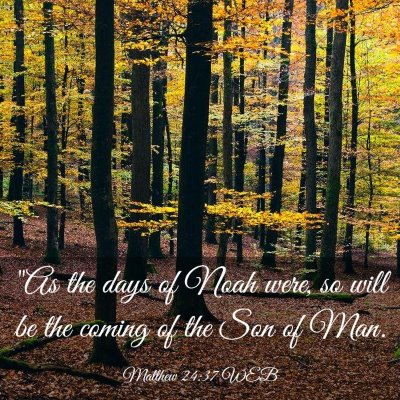 Picture 03 - Matthew 24:37 WEB - 