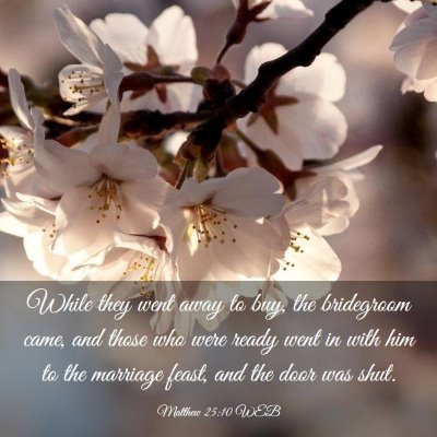 Picture 03 - Matthew 25:10 WEB - While they went away to buy, the bridegroom came, - Bible Verse Picture