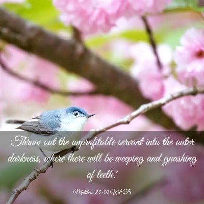 Picture 03 - Matthew 25:30 WEB - Throw out the unprofitable servant into the outer - Bible Verse Picture