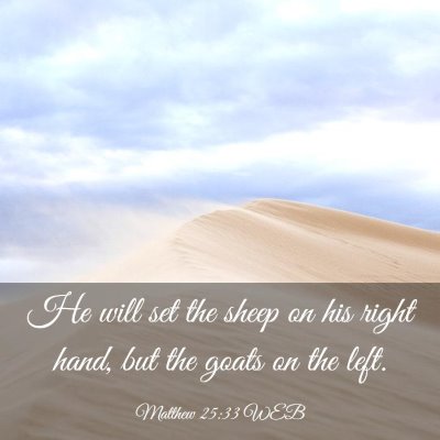Picture 03 - Matthew 25:33 WEB - He will set the sheep on his right hand, but the - Bible Verse Picture