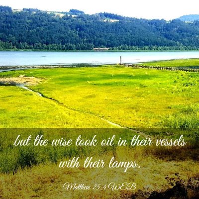 Picture 03 - Matthew 25:4 WEB - but the wise took oil in their vessels with their - Bible Verse Picture