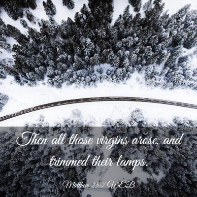 Picture 03 - Matthew 25:7 WEB - Then all those virgins arose, and trimmed their - Bible Verse Picture