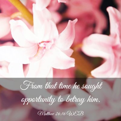 Picture 03 - Matthew 26:16 WEB - From that time he sought opportunity to betray - Bible Verse Picture