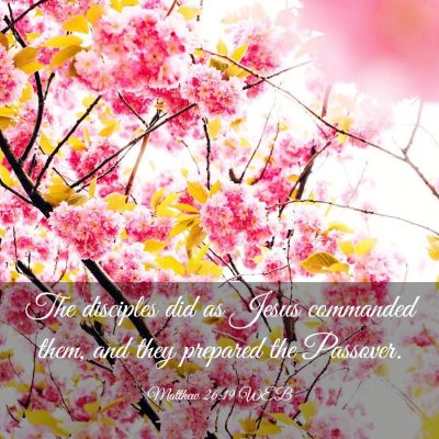 Picture 03 - Matthew 26:19 WEB - The disciples did as Jesus commanded them, and - Bible Verse Picture
