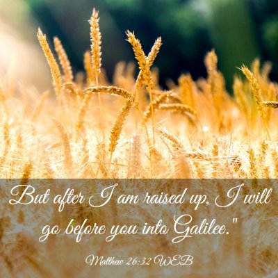 Picture 03 - Matthew 26:32 WEB - But after I am raised up, I will go before you - Bible Verse Picture