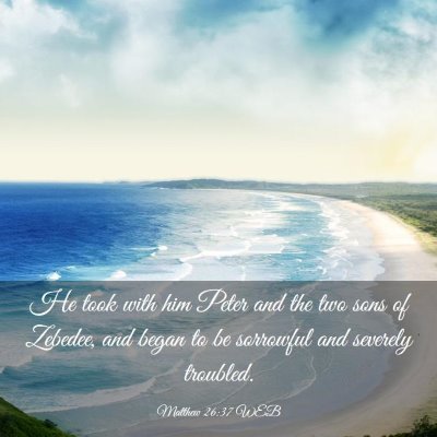 Picture 03 - Matthew 26:37 WEB - He took with him Peter and the two sons of - Bible Verse Picture