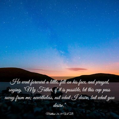 Picture 03 - Matthew 26:39 WEB - He went forward a little, fell on his face, and - Bible Verse Picture