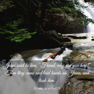 Picture 03 - Matthew 26:50 WEB - Jesus said to him, 