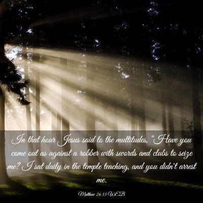 Picture 03 - Matthew 26:55 WEB - In that hour Jesus said to the multitudes, 