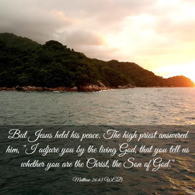 Picture 03 - Matthew 26:63 WEB - But Jesus held his peace. The high priest - Bible Verse Picture