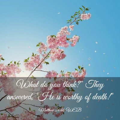 Picture 03 - Matthew 26:66 WEB - What do you think?