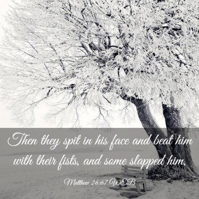 Picture 03 - Matthew 26:67 WEB - Then they spit in his face and beat him with - Bible Verse Picture