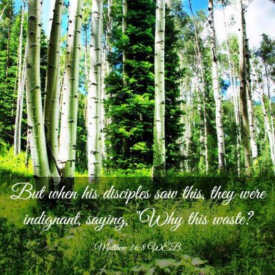 Picture 03 - Matthew 26:8 WEB - But when his disciples saw this, they were - Bible Verse Picture