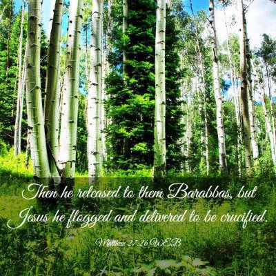 Picture 03 - Matthew 27:26 WEB - Then he released to them Barabbas, but Jesus he - Bible Verse Picture