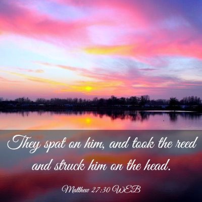 Picture 03 - Matthew 27:30 WEB - They spat on him, and took the reed and struck - Bible Verse Picture