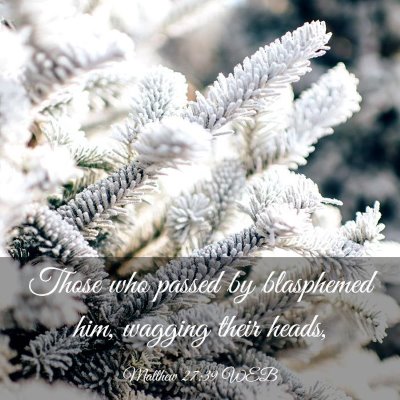 Picture 03 - Matthew 27:39 WEB - Those who passed by blasphemed him, wagging their - Bible Verse Picture