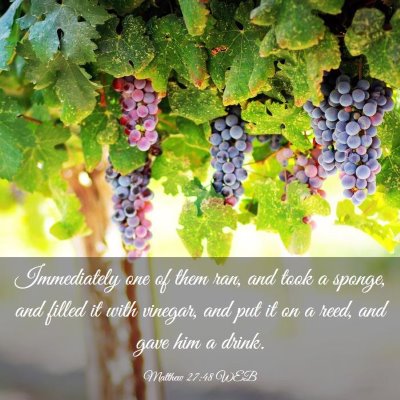 Picture 03 - Matthew 27:48 WEB - Immediately one of them ran, and took a sponge, - Bible Verse Picture