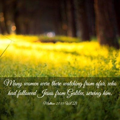 Picture 03 - Matthew 27:55 WEB - Many women were there watching from afar, who had - Bible Verse Picture