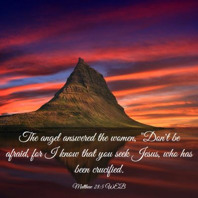 Picture 03 - Matthew 28:5 WEB - The angel answered the women, 