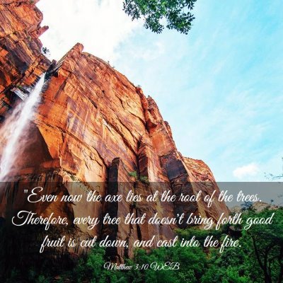 Picture 03 - Matthew 3:10 WEB - 