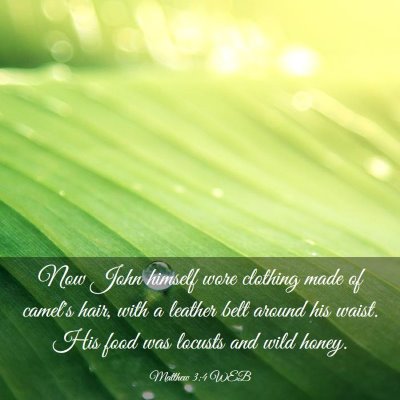 Picture 03 - Matthew 3:4 WEB - Now John himself wore clothing made of camel's - Bible Verse Picture